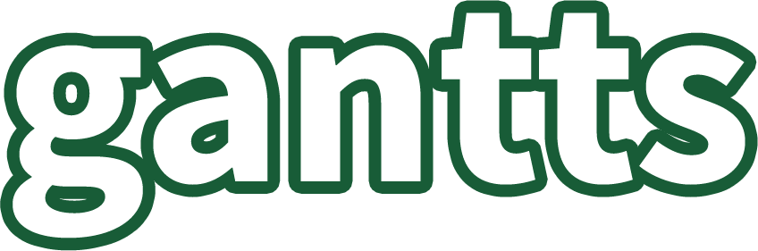 Grafice Gantt